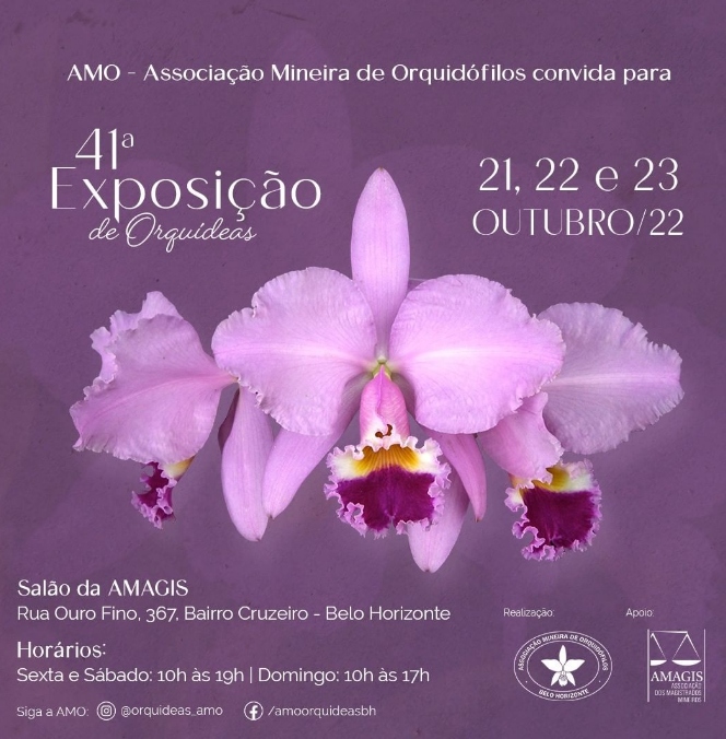 41ª Exposição de Orquídeas