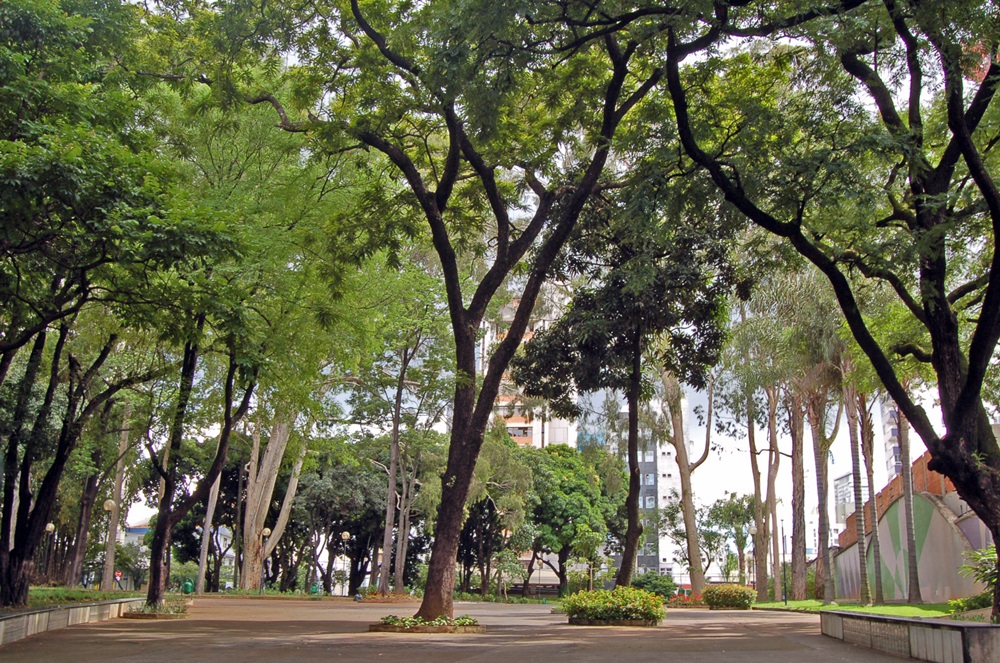 Parque Municipal Rosinha Cadar