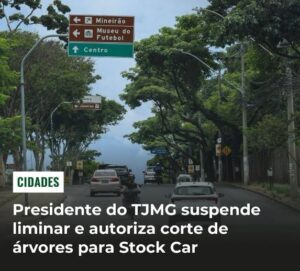 Justiça Suspende Liminar e Autoriza Corte De Árvores Para Stock Car