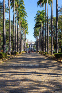 Praça da Liberdade: tudo o que você precisa saber antes de visitar