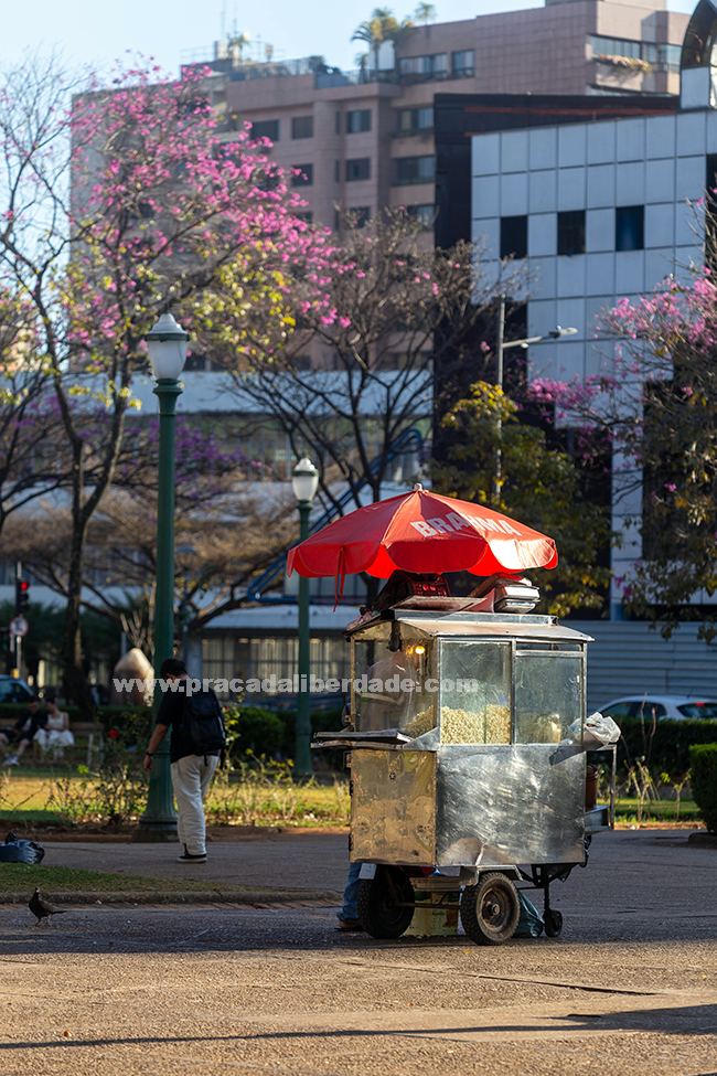 Praça da Liberdade6