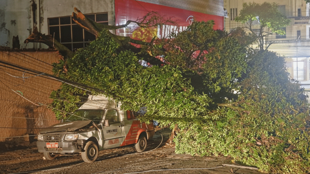 Chuva com ventania causa estragos na Grande BH: casas destelhadas, árvores e postes caídos
